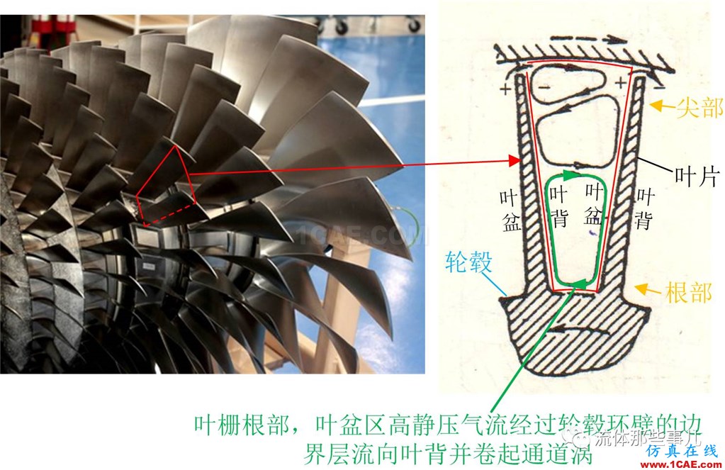 萬里長江，險在荊江：荊江為何如此蜿蜒曲折？【轉發】fluent結果圖片9