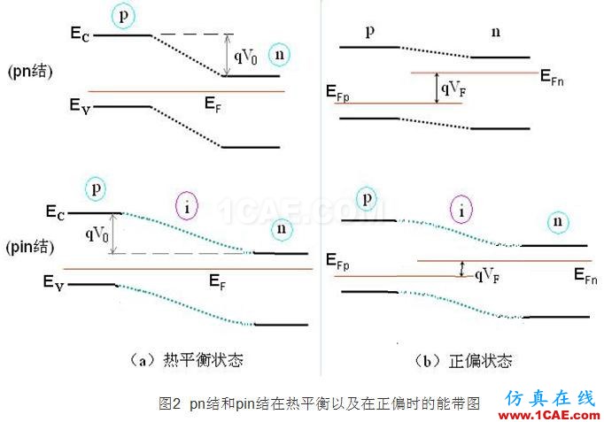 PIN結與PN結的特性比較 - 學習 - 學習、學習、再學習